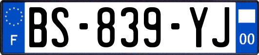 BS-839-YJ