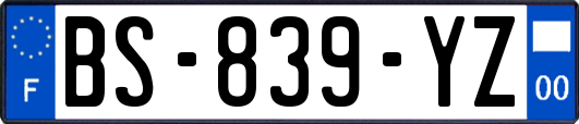 BS-839-YZ
