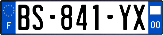 BS-841-YX