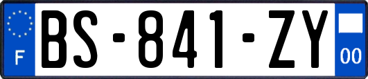 BS-841-ZY