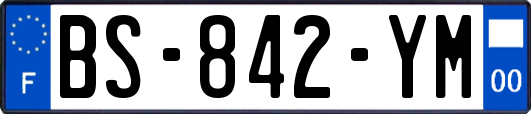 BS-842-YM