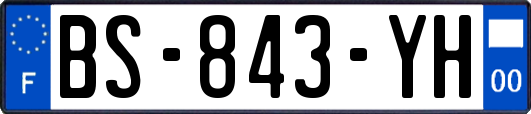 BS-843-YH