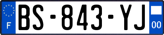 BS-843-YJ