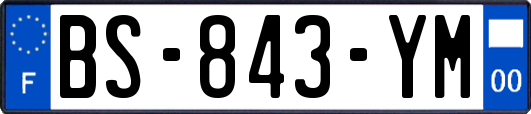 BS-843-YM