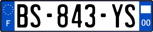 BS-843-YS