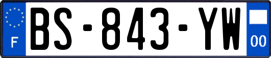 BS-843-YW