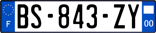 BS-843-ZY