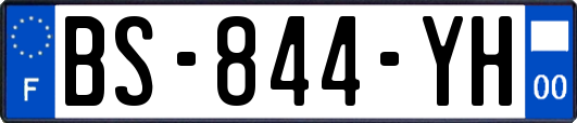 BS-844-YH