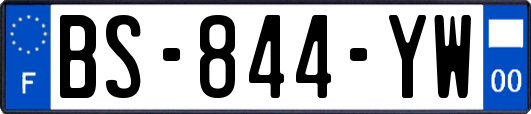 BS-844-YW