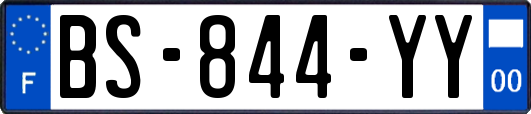 BS-844-YY