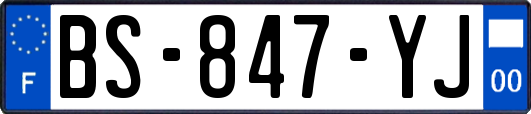BS-847-YJ