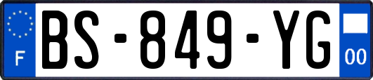 BS-849-YG