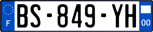 BS-849-YH
