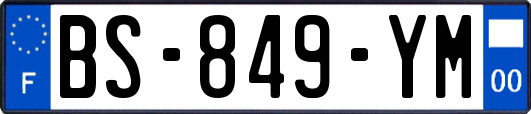 BS-849-YM