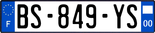 BS-849-YS