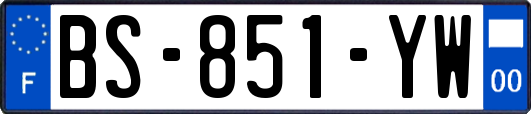 BS-851-YW