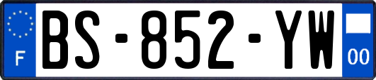 BS-852-YW