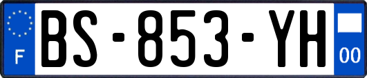 BS-853-YH
