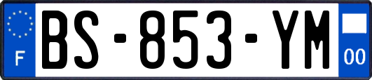 BS-853-YM