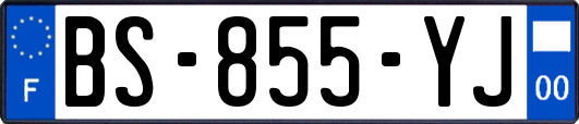 BS-855-YJ