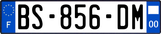 BS-856-DM