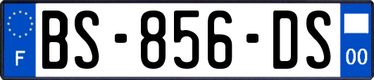 BS-856-DS