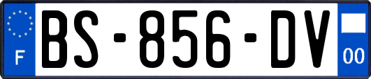 BS-856-DV