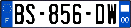 BS-856-DW