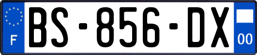 BS-856-DX