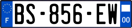 BS-856-EW