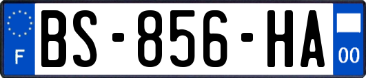 BS-856-HA