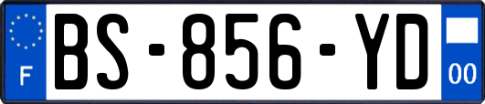 BS-856-YD