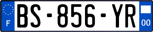 BS-856-YR