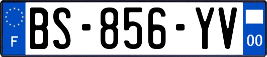 BS-856-YV