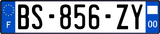 BS-856-ZY