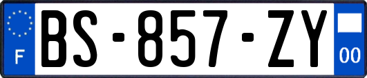 BS-857-ZY