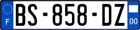 BS-858-DZ