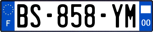 BS-858-YM