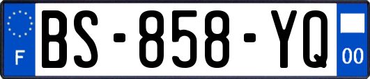 BS-858-YQ