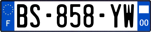BS-858-YW