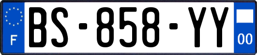 BS-858-YY
