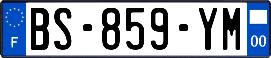 BS-859-YM
