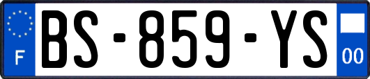BS-859-YS