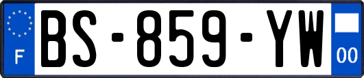 BS-859-YW