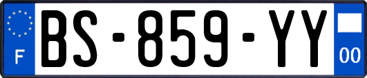 BS-859-YY