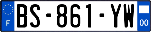 BS-861-YW