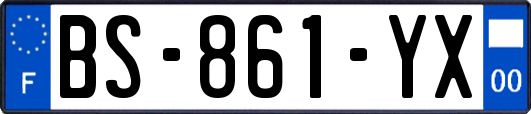 BS-861-YX