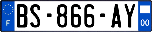 BS-866-AY