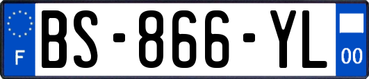BS-866-YL