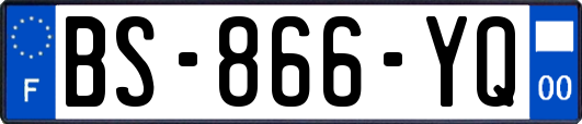 BS-866-YQ